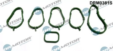 DR.MOTOR TĚSNĚNÍ KOLEKTORU SACÍHO FIAT KPL. DRM0381S