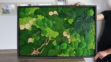 Изображение растений подушечного мха, стабилизированное 100/50