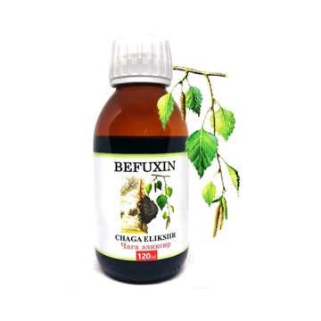 BEFUXIN CZAGA SYBERYJSKA HUBA BRZOZOWA EKSTRAKT ODPOWIEDNIK BEFUNGIN 120ML