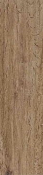 SIENA MARONE 15,5X62 G.1