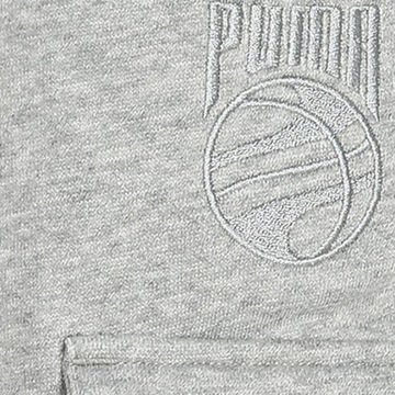 Puma spodnie męskie dresowe szare ocieplane bawełniane z kieszeniami L