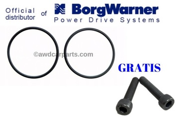 BorgWarner Oringi do pomp Haldex 4 generacji + Śruby do pompy 4 gen. GRATIS