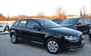 Audi A3 8P Hatchback 3d 1.6 TDI 105KM 2010 Audi A3 Sportback LIFT - climatronic - oplacony - gotowy do rejestracji, zdjęcie 9