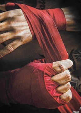 ФУТБОЛКА МУЖСКАЯ PIT BULL MUAY THAI FD ХЛОПОК M