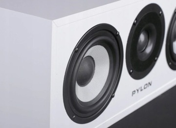 ЦЕНТРАЛЬНАЯ КОЛОННА АУДИО ЖЕМЧУЖНЫЙ ПИЛОН + МАСКА