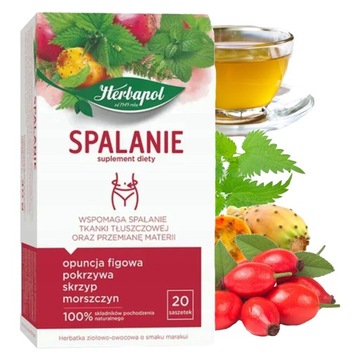 SPALANIE HERBAPOL herbata herbatka FUNKCJONALNA 20 SASZETEK
