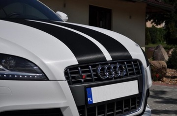 ЛЕНТА КАРБОНОВАЯ ЗАЩИТНАЯ ПОРОКИ 10х500см + РАКЛА