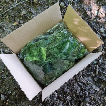 Олений мох Crabotek MOSS GREEN 80G NET
