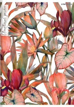 ZESZYT TOP 2000 FLOWERS A4/80K KRATKA Z MARGINESEM