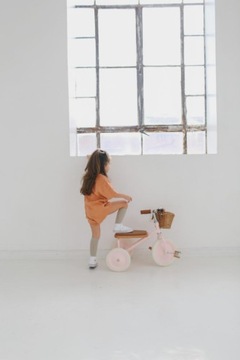 Banwood Rowerek trójkołowy Trike Pink