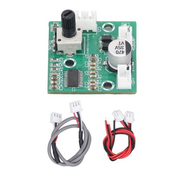 Модуль усилителя высокой мощности Mini Mono 60W Digital BR Модуль усилителя
