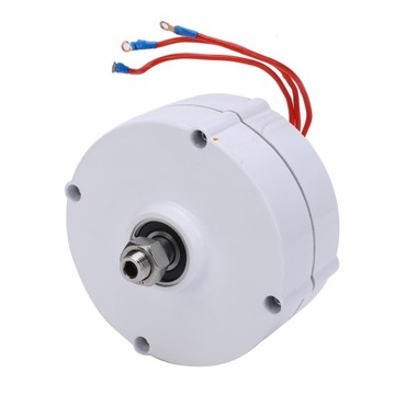 Generator z magnesami trwałymi Elektryczny 3-fazowy alternator prądu 4W