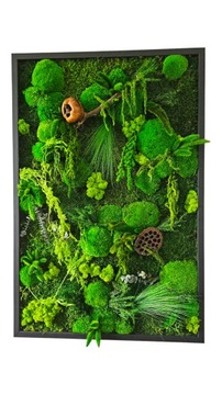 Żywy obraz z mchu dżungla 3D panel z mchu 90 x 60cm rama drewno czarny mat