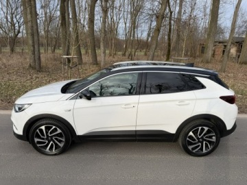 Opel 2019 Opel Grandland X 2.0 CDTI 177 KM Max Opcja Ful Led, zdjęcie 3