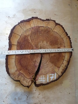 Кусочек дерева Mirabelka для смолы своими руками 31x29гр.4