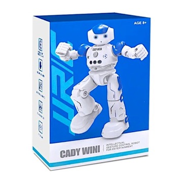 ИНТЕЛЛЕКТУАЛЬНЫЙ РУ РОБОТ С ДИСТАНЦИОННЫМ УПРАВЛЕНИЕМ ЖЕСТАМИ С ПОМОЩЬЮ ДИСТАНЦИОННОГО ПРОГРАММИРОВАНИЯ ПАТРУЛЯ