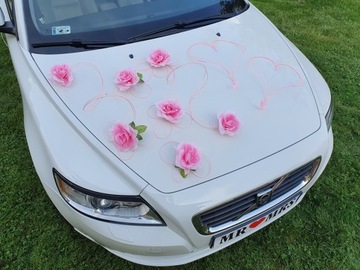 Живописное украшение автомобиля Украшение автомобиля ПЕРО