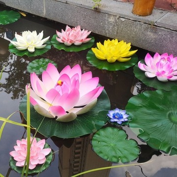 Deep Aqua Lily для пруда, Оранжевый, 10 см