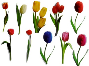 NAKLEJKI SCRAPBOOKING FOLIOWE 20X KWIATY KWIATKI TULIPANY