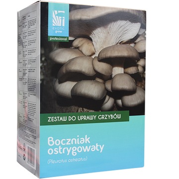 Boczniak ostrygowaty zestaw do uprawy grzybów