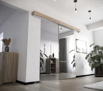 Раздвижная дверь Внутреннее зеркало VDL 106 O-диван