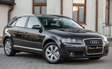 Audi A3 8P Hatchback 3d 2.0 TDI PD 140KM 2008 Audi A3 2.0TDI 140KM Alu Serwis Gwarancjia, zdjęcie 27