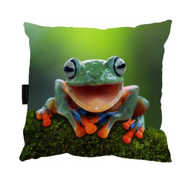 PODUSZKA z ŻABĄ ZABA 40x40 do spania na PREZENT
