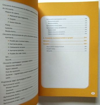 МЕТОДИКА МОНТЕССОРИ ДЛЯ ТРЕТЬЕГО ГОДА, ПУССЕН