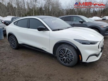 Ford Mustang VI 2024 Ford Mustang 2024 Ford Mustang Mach-E Premium Elektryczny 325KM