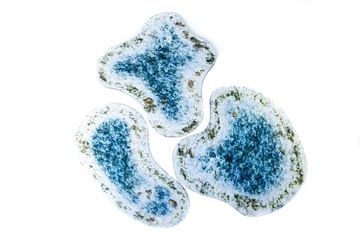 2D УНИВЕРСАЛЬНЫЕ ПЛОЩАДКИ - ЗИМНИЙ ПРУД