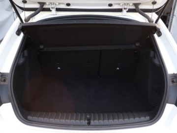 BMW Seria 1 F40 2021 BMW 1 118i, Salon Polska, 1. Właściciel, zdjęcie 13