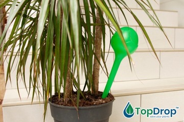 ПОЛИВНЫЕ ШАРЫ АВТОМАТИЧЕСКАЯ ЛЕЙКА для горшечных растений ШАР 10 шт.