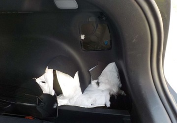 Kia Niro II 2023 Kia Niro Okazja 1.6 Hybryda 105KM, zdjęcie 19