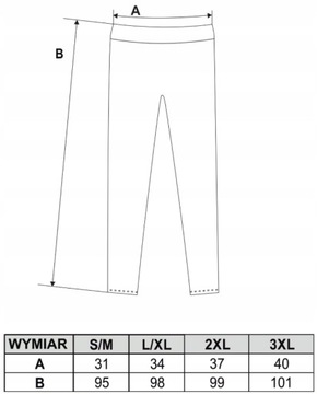 Legginsy z Wysokim Stanem KRYJĄCE Czarne Klasyczne Getry Fit Sportowe MORAJ