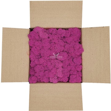 Mech Chrobotek Fiński Różowy Fuchsia 250g