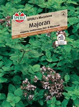 Lebiodka majeranek 'SPERLI's Marjolaine' Nasiona PREMIUM Sperli