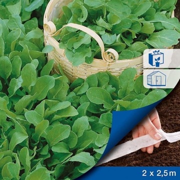 Rukola Ruca - nasiona na taśmie Kiepenkerl