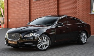 Jaguar XJ VII X351 Sedan SWB 3.0 V6 S/C 340KM 2013 Jaguar XJ 3.0T 340KM Luxury Navi Pano Skora Ledy MasaZe EUROPA 3.0, zdjęcie 5