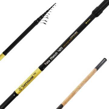 Mikado - ROD - SENSUAL NG TELE MATCH 420 c.w. 5-25г (8 сек) – упаковка 1 шт.