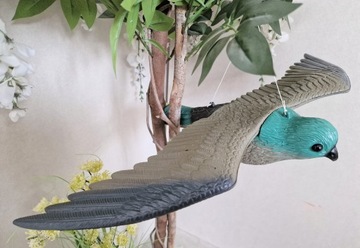 СОКОЛ В ПОЛЁТЕ, ЯСКОВ, ОТПУСКАТЕЛЬ ПТИЦ