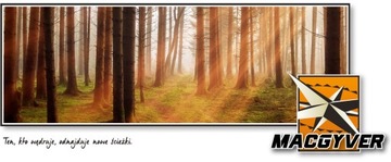 НАБОР ДЛЯ РЫБАЛКИ MACGYVER COMBO 204 В 1 102270