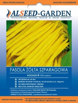 FASOLA ŻÓŁTA SZPARAGOWA VOLTAGE WCZESNA WYSOKI PLON NASIONA HOLENDERSKIE