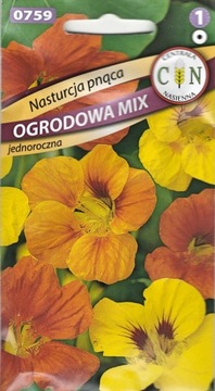 Nasturcja Pnąca wysoka 3-4m wielokolorowa