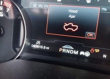 Ford 2020 Ford F150 2020, 3.5L, 4x4, RAPTOR, od ubezpieczalni, zdjęcie 12