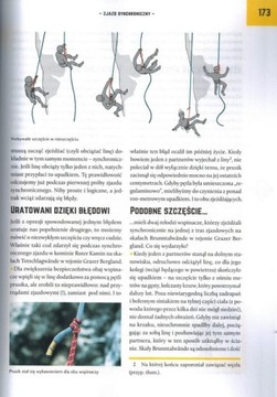 БЕЗОПАСНОСТЬ И РИСК В КАМНЕ И ЛЬДЕ Т. II СП