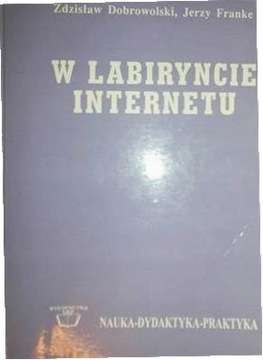 W labiryncie internetu - Zdzisław Dobrowolski