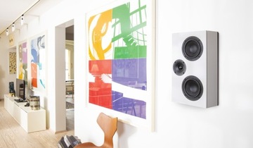 ДИНАМИК-концентратор ACTIVE SA LEGEND 7.2 SILVERBACK, ЧЕРНЫЙ, ВКЛЮЧЕН БЕСПЛАТНО