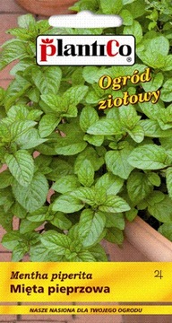 MIĘTA PIEPRZOWA 0,1 g OGRÓD ZIOŁOWY PLANTICO