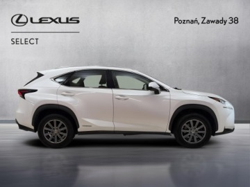 Lexus NX I SUV 300h 197KM 2014 Lexus NX 300h Elite AWD I (2014-2021) Lexus NX 300, zdjęcie 3