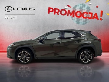 Lexus UX 2024 Lexus UX 300h Business Lexus UX 300h Business+Tech, zdjęcie 4